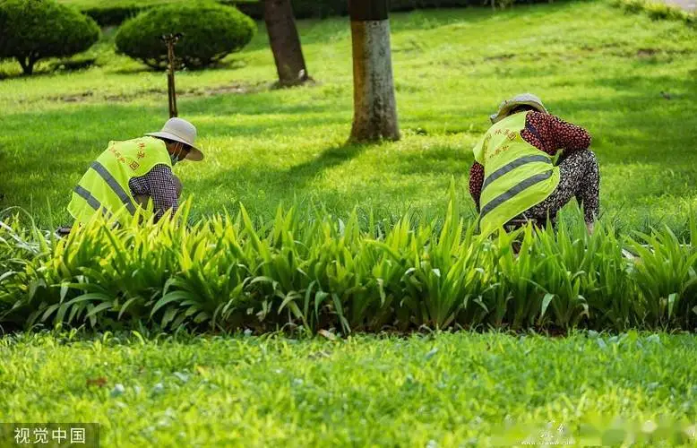 临沂大学绿化工程怎么样