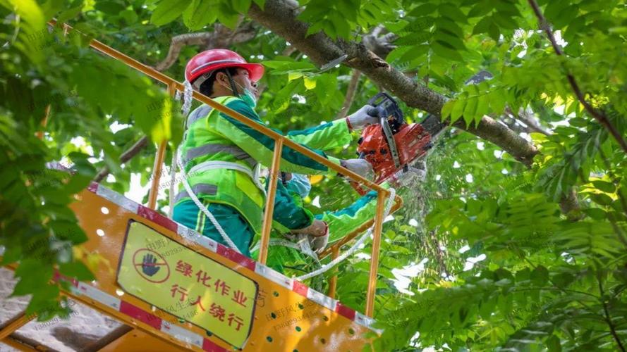 公园苏式园林景观设计方案