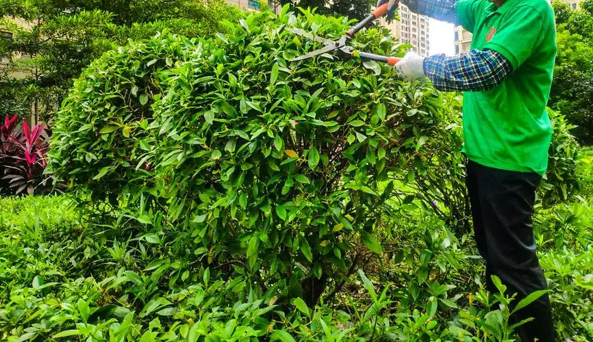 工地园林景观设计观景台