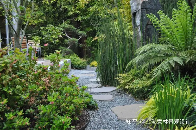 沅江园林绿化草坪批发市场