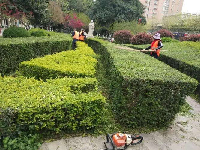 云浮道路园林绿化工程资质